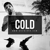 Picture for song 'Cold (Instrumental)' by artist 'Dre Minor'