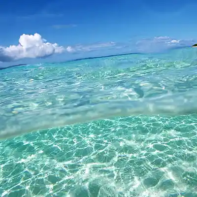 Picture for song 'perspicuous' by artist 's9undV1ZNZ K 0 D 3 7'