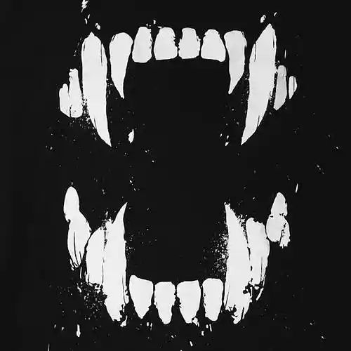 cover pic