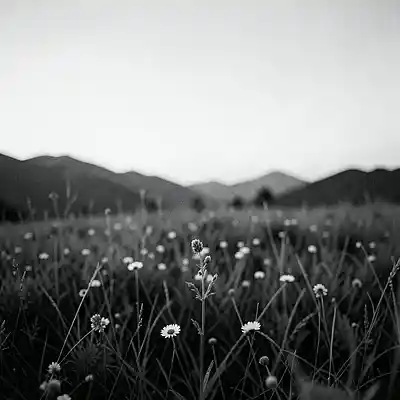 Picture for song 'Fulfillment of a Journey' by artist 'Buddy and the Southsiders'