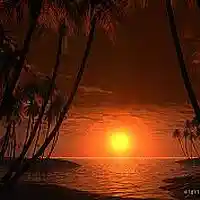Picture for song 'Migos type beat - Tropic' by artist 'DBando Beats'