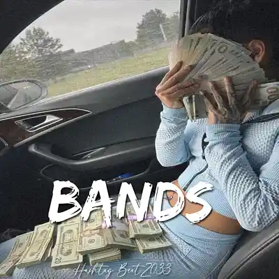 Picture for song 'Bands 775' by artist 'Hashtag6eatZ033'