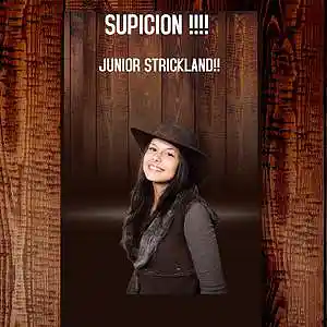 Picture for song 'SUSPICION!!!!!!!!!!' by artist 'JUNIOR STRICKLAND'