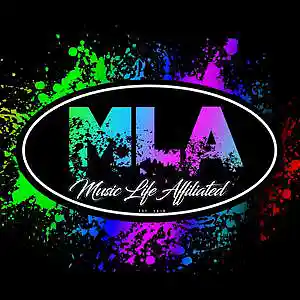 Picture for song 'Broke My Heart' by artist 'Music Life Affiliated'