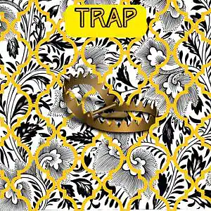 Picture for song 'Trap' by artist 'startats'