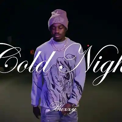 Picture for song 'COLD NIGHTS (Buy 2 Get 1 Free) 2.0' by artist 'buzzy beats'
