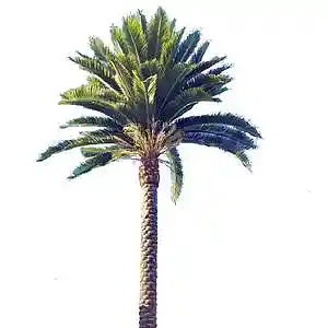 Picture for song 'Westside Glide (Instrumental)' by artist 'ChrisListerSounds'