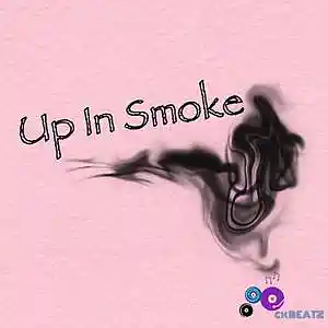 Picture for song 'Up In Smoke - Jack Harlow type beat' by artist 'cokang'