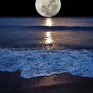 Picture for song 'Angie's Tune' by artist 'Dream States'