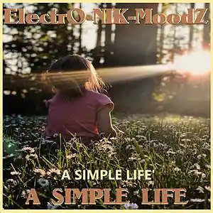 Picture for song 'A Simple Life' by artist 'ElectrO-NIK-MoodZ'