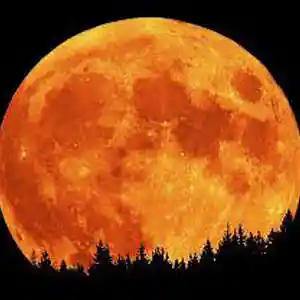 Picture for song 'Hunters Moon' by artist 'Johanna Renfro'