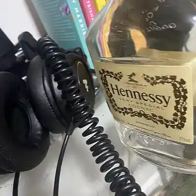 Picture for song 'Hennything' by artist 'Mo Music'