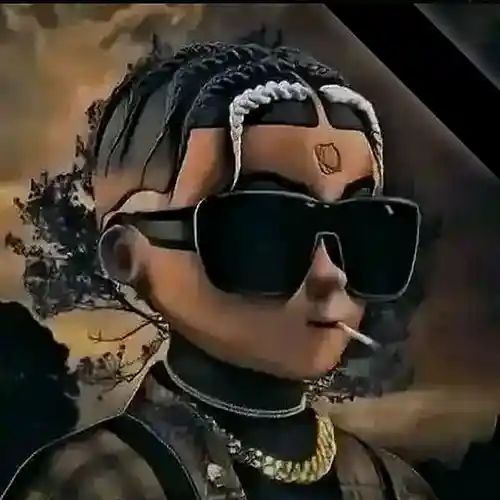 cover pic