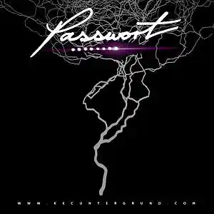 Picture for song 'Wer Bist Du ... ??!!!' by artist 'PASSWORT 13-8'