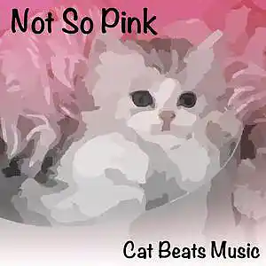 Picture for song 'Not So Pink' by artist 'Cat Beats'