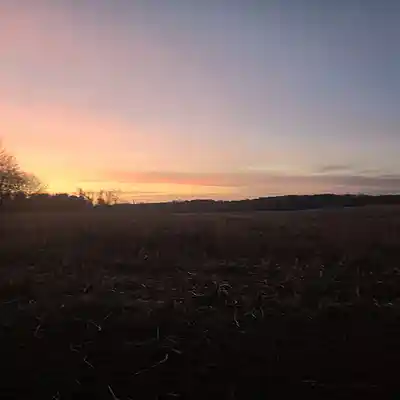 Picture for song 'Dark Trap Beat' by artist 'dommm'