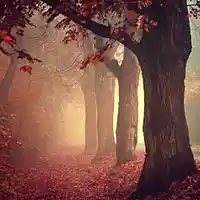 Picture for song 'The Fall - Produced by 4ormula' by artist 'Flaveo Anthony'