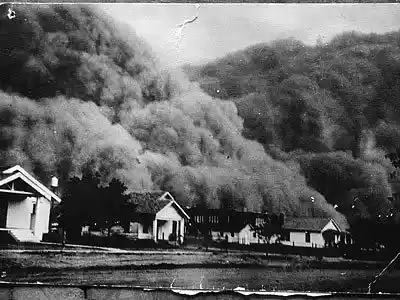 Picture for song 'Dust To Dust.mp3' by artist 'Kangaroo Pimp'