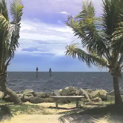 Picture for song 'State of mind love is' by artist 'Origenal Muzik'