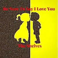 Picture for song 'Be Sure To Say I Love You - The Shelves' by artist 'Parkdale Productions'