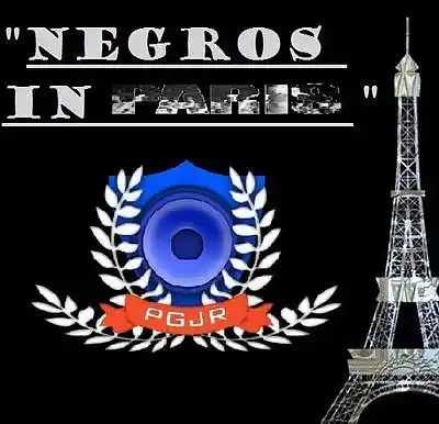 Picture for song 'NEGROS IN PARIS FRANCE' by artist 'Perry Gaffney Jr'