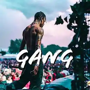 Picture for song 'GANG (BUY 1 GET 3 FREE)' by artist 'PINK MOLLY BEATZ'