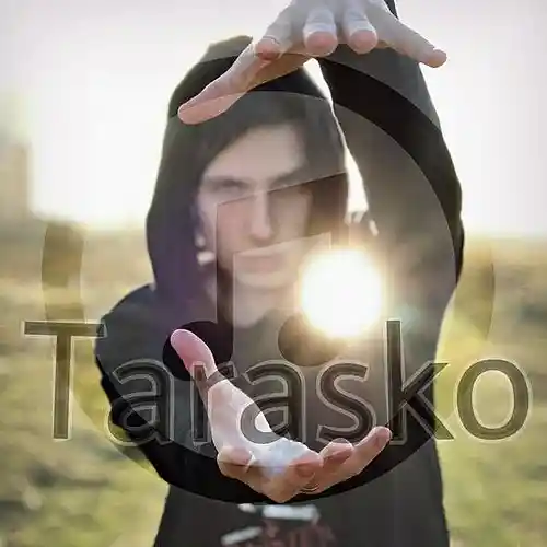 Artist picture