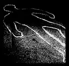 Picture for song 'Kill For You (Feat. Bri T & Bri S)' by artist 'The Best Rapper Unsigned'