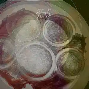 Picture for song 'buzz box boogie' by artist 'tichphillips'