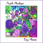 Picture for song 'Suzie (Lone Star Hero)' by artist 'Tony Mecca'