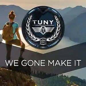 Picture for song 'We Gone Make It' by artist 'Tuny Beats'