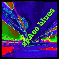 Picture for song 'spAce blues' by artist 'Turtle Necromancer'