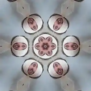 Song picture