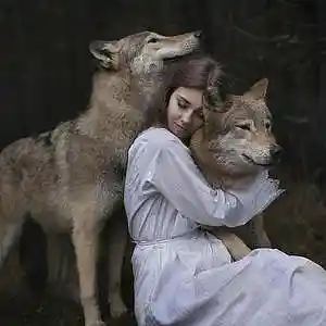 Picture for song 'APOCALYPSE - Alone Among The Wolves-(DEMO)' by artist 'ApocalypseOfficial'