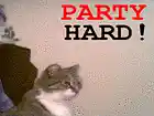 Song picture