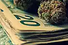 Picture for song 'Weed Money Prod OG BEATZ' by artist 'OG Beatz Prod'
