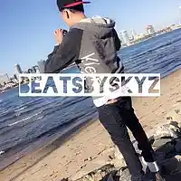 Picture for song 'Benz *BANGER* (Metro Boomin x lil uzi vert) ' by artist 'beatsbySkyz'