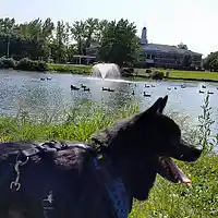 Picture for song 'Ballad of Deej' by artist 'Geoffrey Orbegoso'