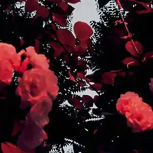 Picture for song '"EVERYTHING ENDS" Iann Dior x Juice WRLD Type Beat' by artist 'HIWYER'