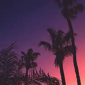 Picture for song 'No Matter What - Dancehall Type Beat' by artist 'Prod. 8lueredd'