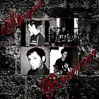 Picture for song 'Morning Light' by artist 'Stereo Receiver'