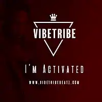 Picture for song '*Trap* I'm Activated (BUY 1 GET 1 FREE)' by artist 'VibeTribeBeatz'