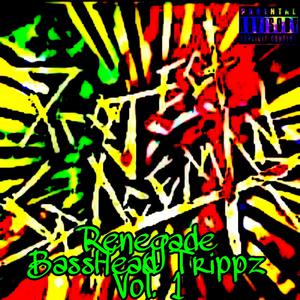 Picture for song 'Bomb Track' by artist 'Project SpaceMan'