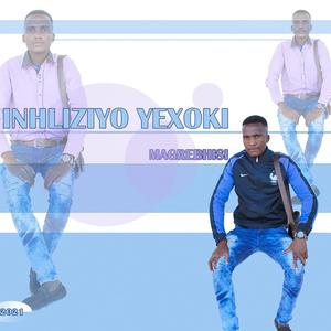 Picture for song 'UMFAZI WESITHATHU MAGREBHISI' by artist 'MaGrebhisi'