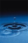 Picture for song 'Rain Drops (Ring Tone)' by artist 'Alex Cooper'