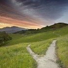 Picture for song 'The Dream' by artist 'Barro'