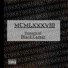 Picture for song 'Tryna Chill' by artist 'blackcaesartheking'