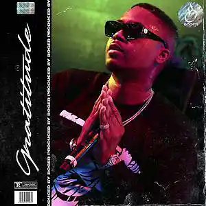 Picture for song 'Gratitude (Nas Type Beat)' by artist 'BOGER'