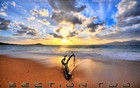 Picture for song 'Section Two' by artist 'Brutal Bass'
