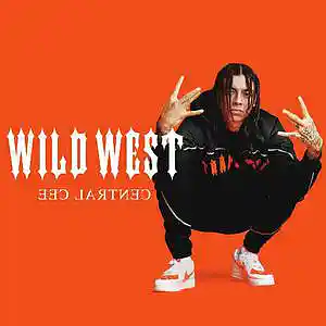 Song picture